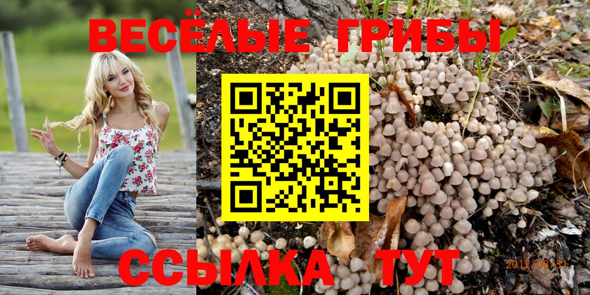 Псилоцибиновые грибы Magic Shrooms  Вход с VPN  Каспийск 